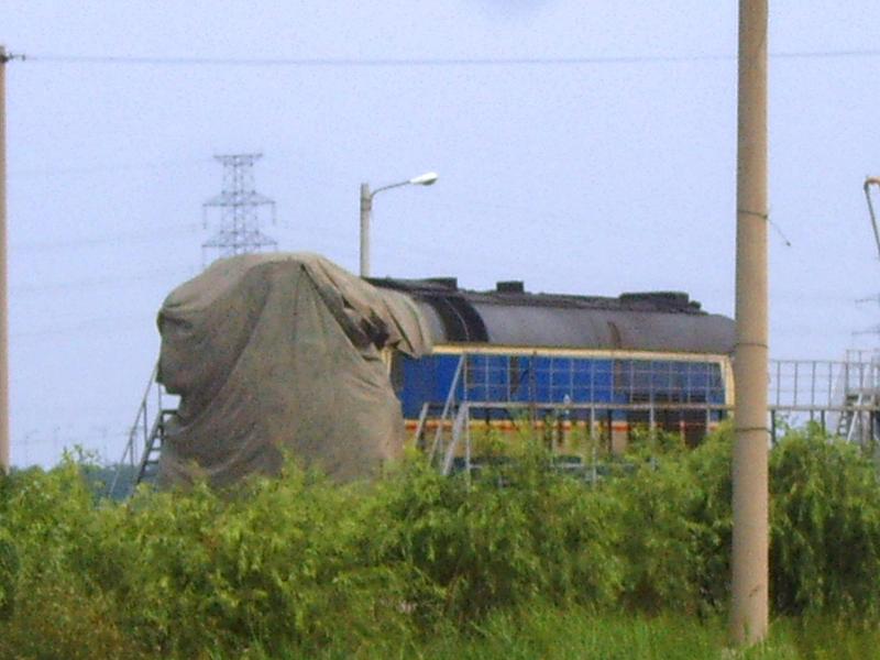 SUC51480.JPG