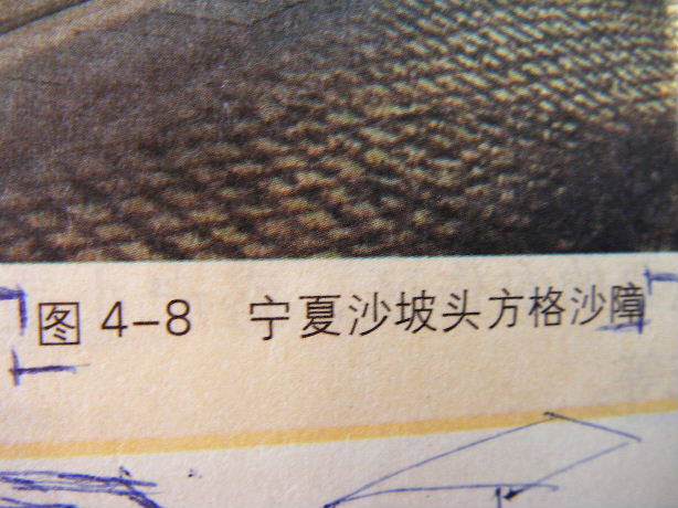 2008_02160007.JPG