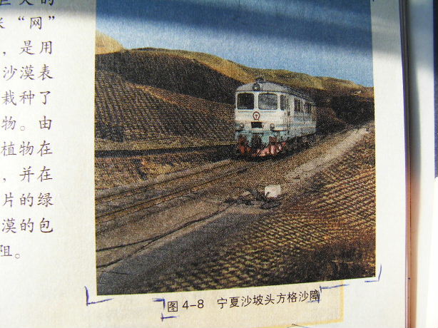 2008_02160006.JPG