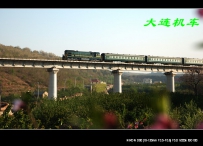 大山里的 ND5