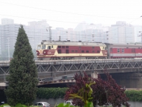 我拍花老虎